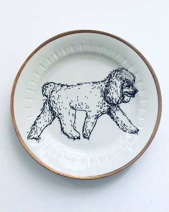 Pudel, arent plates