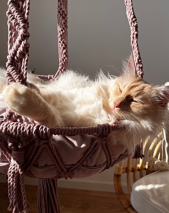 Hamak XXL na kole, Huśtawka dla dużych kotów, Wiszące legowisko, Still Wild at Heart