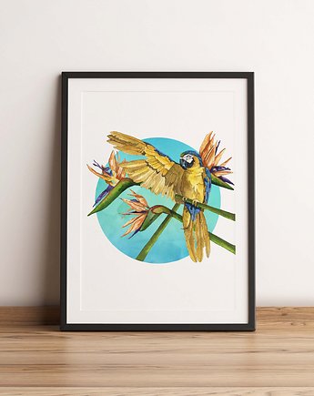 Plakat :Papuga i strelicja", A3, Anna Bednarczyk Ilustracje