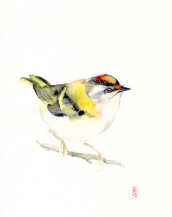 Oryginalna akwarela. Zniczek, alquadro