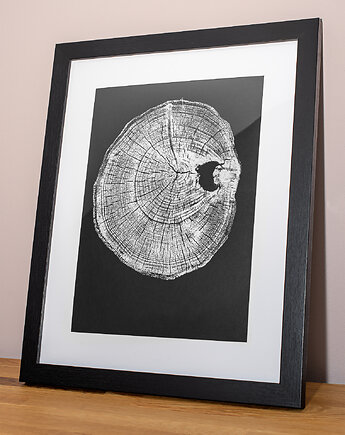 Obraz Botaniczny w ramie 30x40cm. Autorski Plakat Przekrój Drzewa Akacja, Kuźnia Obrazów