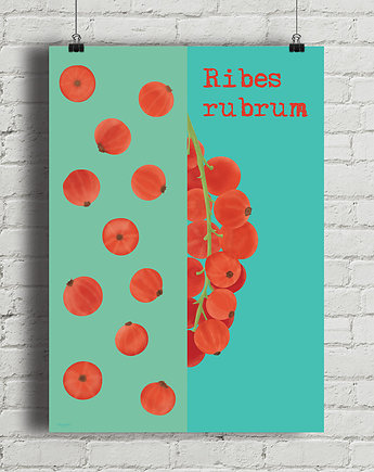 Porzeczka - plakat fine art, giclee, minimalmill