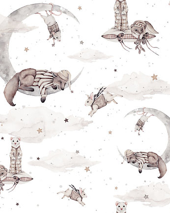 Tapeta Dreamers Biel 53cm x 10m PZ, Bajkowe Wnetrza