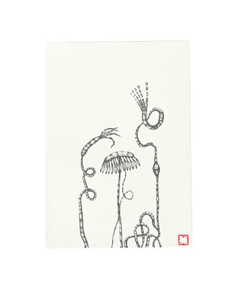 Pocztówka chabazie, Shoshki