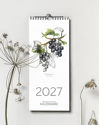 Kalendarz wiszący 2027. Naturalnie OWOCE, beata sketches
