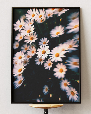 Plakat Białe kwiaty  - Aesthetic Dreamcore Art, DAPIDOKA