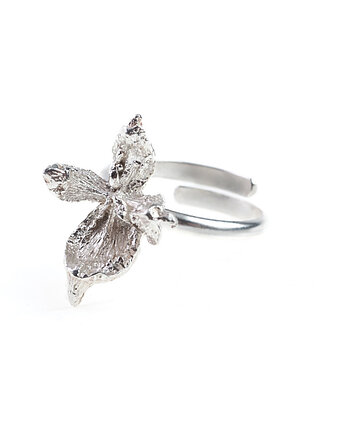 Pierścionek Kwiat Giverny, ZIĘBA