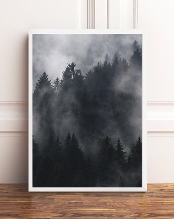 PLAKAT  czarno biały LAS WE MGLE poster góry, black dot studio