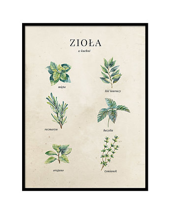Plakat - Zioła, lemonducky