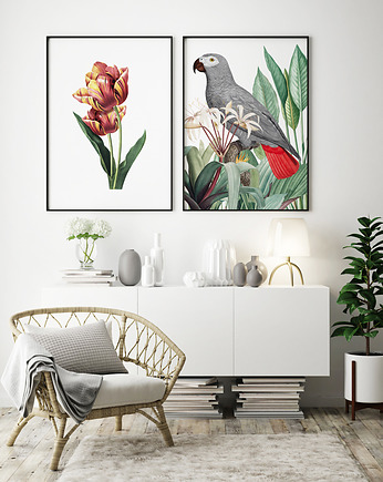 Zestaw Papuga i Tulipan - dwa plakaty, HOG STUDIO