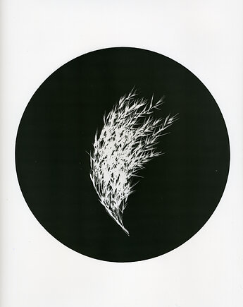 Trawa_1_, PAPER AND LIGHT