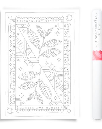 Plakat do Kolorowania Roślina Herbaciana Camelia Sinensis 50x70cm, Anna Grunduls Design