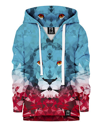 Bluza Chłopiec DR.CROW Lew Trójkąt, DrCrow