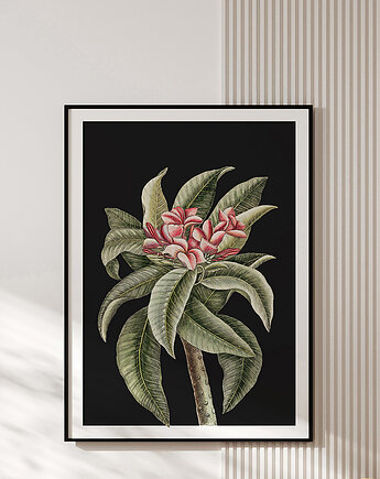 Plakat vintage - botaniczna ilustracja no.2, OKAZJE - Prezent na 40 urodziny