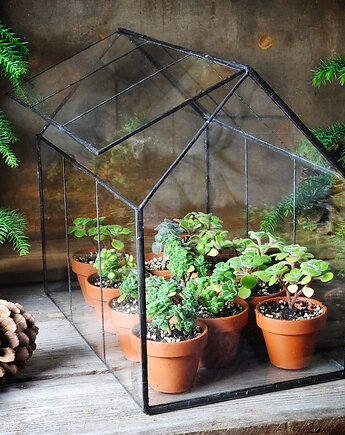Mini szklarnia Windowsill Forest, Zielona Sztuka