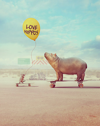 Plakat Hipopotam fantasy 006, Hippograph