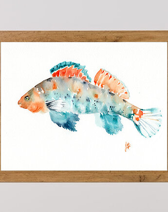 Oryginalna akwarela. Ryba, alquadro
