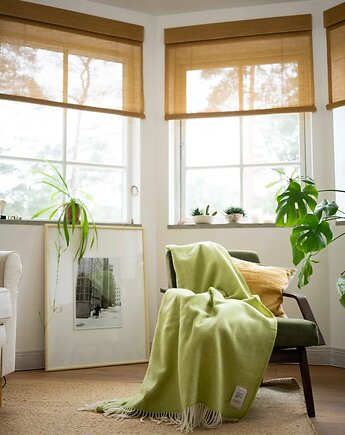 MIRA w kolorze zielonym, Woolish