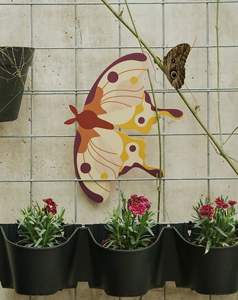 Plakat Comet Moth - dekoracja ścienna motyl, Milin