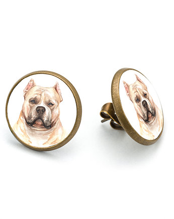 Kolczyki sztyfty AMERICAN BULLY rasowy pies, laluv