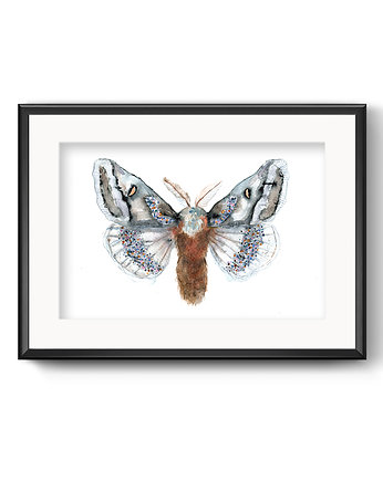 Ćma futrzasta, 21x30cm, A4, JUST ILUST Justyna Małczak