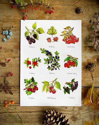 Owoce leśne- grafika na ścianę- ilustracja- las, BOSKE