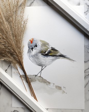 Akwarela ogniczek, Wiktoria Borys Art