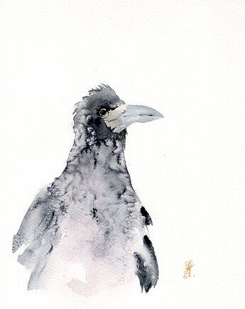 Oryginalna akwarela. Gawron, alquadro