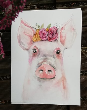 Malowana świnka, DWUKROOPEK