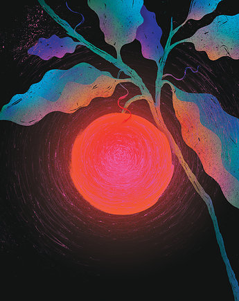 Magic fruit, Nataleczka Piaszczyk