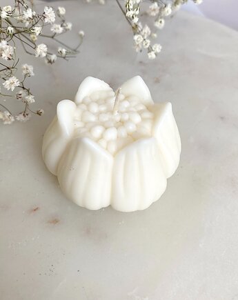 Świeca sojowa dekoracyjna ekologiczna "Flower" 62x0mm, Coccola JEWELLERY