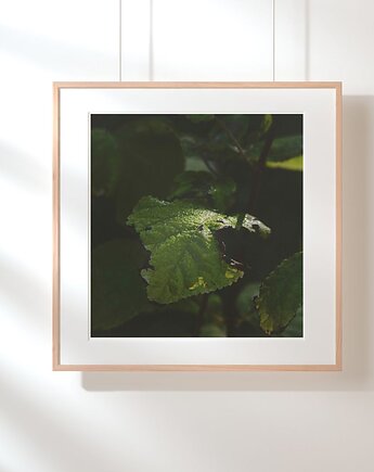 Fotografia autorska z cyklu "Zwyczajność", mamam