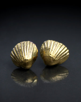 Shell/stal chirurgiczna/, Magda Łysiak