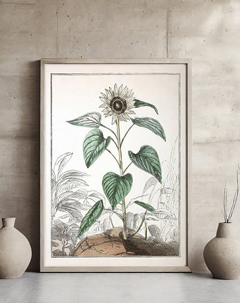 Plakat botaniczny, ArchiBotanica