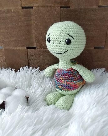 Żółwik Kostek, żółw, szydlAnki