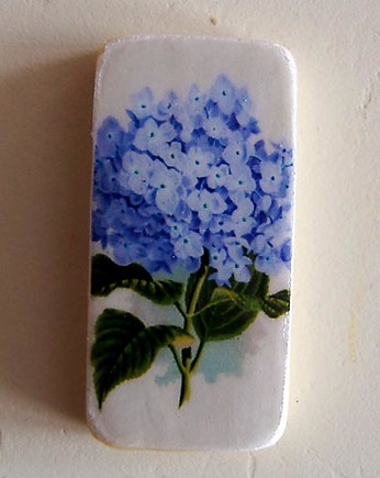 hortensja, Galeria Belladonna
