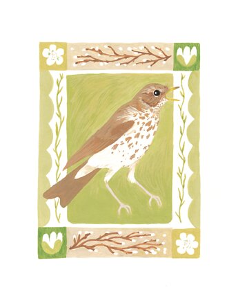 Print Drozd śpiewak 18x24 cm, Emilia Skwarska