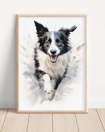 Plakat border collie, Whatever the timezone