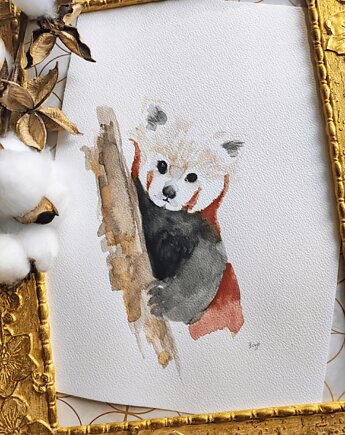 Akwarela panda czerwona, Wiktoria Borys Art