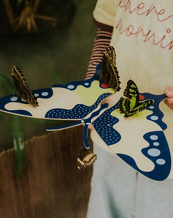 Plakat Swallowtail Butterfly - dekoracja ścienna, Milin