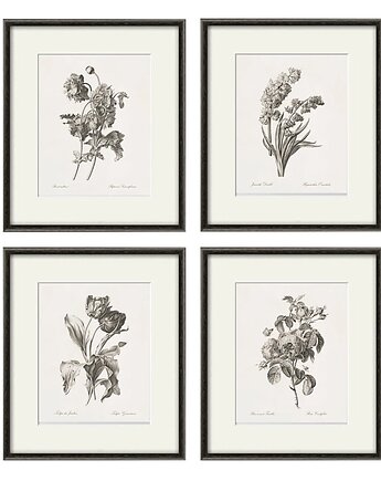Zestaw Grafik Botanicznych Vintage , Victorian wall art