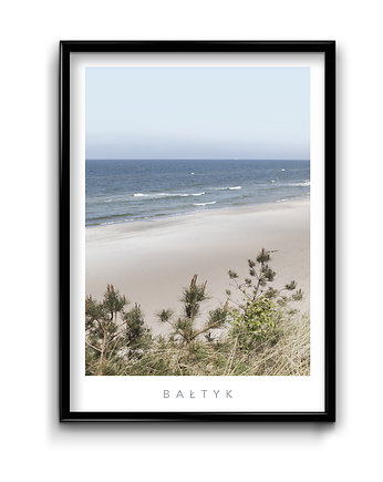 Plakat Bałtyk No.6, Bury Lis