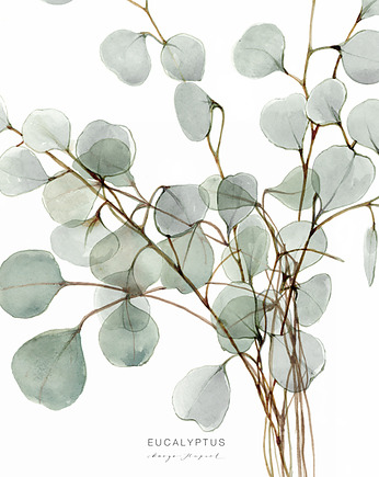 Plakat Eucalyptus, Margo Hupert