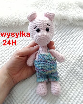 Prosiaczek Rafał, świnka, świnia, szydlAnki