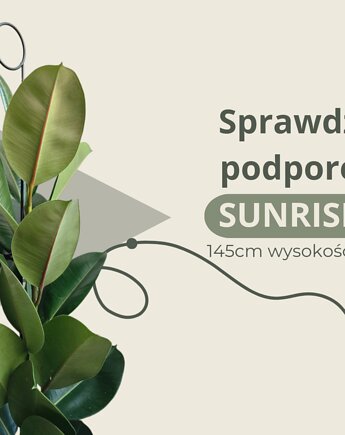 Wysoka podpora do roślin domowych 145cm Sunrise, Leaflo