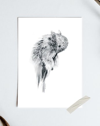 Koliber - Ptasia Kolekcja - autorska grafika, A4,  wydruk pigmentowy, Anka Bednarz