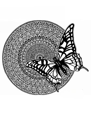 Mandala nr 14, Motyl, reprodukcje, anna marczewska