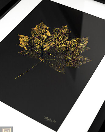 Monotypia Botaniczna. Złoty Liść Klonu. Obraz w Ramie A3, Kuźnia Obrazów