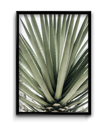 Plakat Botanic #4, Bury Lis