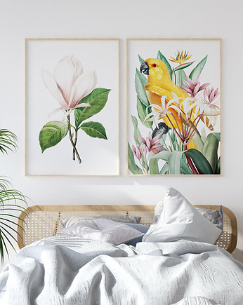 Magnolia i papuga - zestaw plakatów, HOG STUDIO